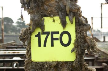 Aquasign-AntiFouling-Foul